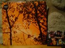 GAS Konigsforst 3xLP/1998 Germany/Wolfgang Voigt/Ambient Techno/Ltd.2019 Press