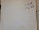 BOB DYLAN GREAT WHITE WONDER 2LP