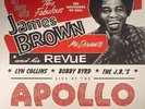 BROWN, James/VARIOUS - Get Down With James Brown: Live At The Apollo Vol IV
