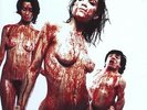 Sub Pop - Blood Guts & Pussy