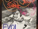 Sonic Youth Evol LP Album Vinyl Good Condition 1986 SST Records