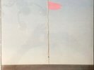 WIRE LP PINK FLAG BUZZCOCKS THE HOMOSEXUALS GLAXO BABIES JOY DIVISION MEKONS PiL