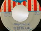 Garage 45 The Cherry Slush I Cannot Stop You on USA HEAR