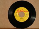 Garage / Surf    The Fabulous Penetrations ( Rare , Rare )