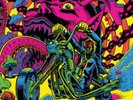 WAYFARING STRANGERS ACID NIGHTMARES