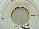 MARCIA GRIFFITHS TELL ME NOW / VERSION on  STUDIO ONE