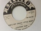LIGHTNIN SLIM - SHE'S MY CRAZY LITTLE BABY / GREYHOUND BLUES -EXCELLO PROMO 2252