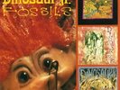 Fossils 12