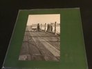 Robyn Hitchcock I Often Dream Of Trains Original Analog Glass Fish Pressing Lp