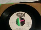 Lonnie Brooks 45 Rpm The Flip RARE