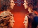 Slade - Old New Borrowed And Blue, LP, Album, (Vinyl)