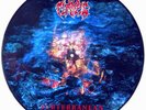IN FLAMES - SUBTERRANEAN - LIMITED PICTURE VINYL LP, TO 1000 COPIES