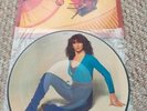 Kate Bush The Kick Inside Picture Disc Original.