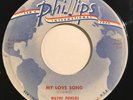 RARE Wayne Powers My Love Song / Point Of View 45 Vinyl 1958 US Philips Rock VG+