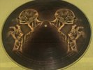 tool vinyl picture disc stinkfist 10