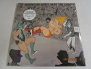 MOUNTAIN GOATS Beat The Champs New  Sealed  Merge Records 2015 2XLP Download