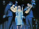 In Concert by Peter, Paul and Mary (200g Vinyl 2LP,2014, Analogue Productions)