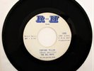 THE DEL-RAYS FORTUNE TELLER/ DIMPLES 45 R & H 1005 RARE NORTHERN SOUL MOD GARAGE