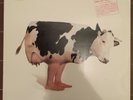 Elio E Le Storie Tese ?– Italyan, Rum Casusu Çikti vinile
