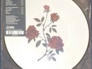 Whitney - Light Upon The Lake on Picture Disc vinyl.