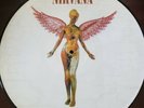 Nirvana in utero vinyl Picture Disk