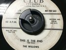 The Willows DooWop 45 “This Is The End” Club Promo VG SEE & HEAR