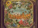 Pretty Odd by Panic At The Disco (LP, 2008 Decaydance, US, 1-430524)