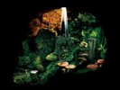 Hexvessel-Iron Marsh 12