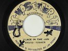 Reggae 45 - David Isaacs & Upsetters - Place In The Sun - Upsetter Jamaica - mp3