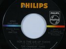 Garage Psych 45 CHANGIN' TIMES How Is The Air Up There PHILIPS VG+ HEAR *