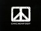 Chickenfoot - Vinyl LP (2) Edel:Records NEU