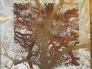 Silversun Pickups Widow’s Weeds Tour Edition Vinyl.  #12