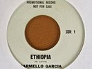 CARMELLO GARCIA Ethiopia & Summertime WL promo 7