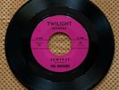45 RPM RARE GARAGE ROCK: The Brogues - Someday - Twilight Records 408 - Mint