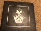 The System Is Murder 7” Spiderleg Records.  Flux Of Punk Indians.