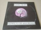 RISING HOPE Farewell Shadowlands LP PRIVATE Xian Folk Psych RARE VG+ EX VINYL