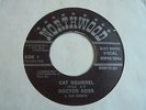 Doctor Ross - Cat Squirrel 1982 UK 45 NORTHWOOD