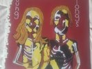 Animal Collective - Sung Tongs (New Vinyl)