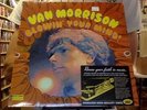 Van Morrison Blowin' Your Mind  LP sealed vinyl RE reissue Blowing Sundazed