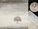 LP GENESIS WIND AND WUTHERING ITALY 1976 CHARISMA 9124 003 + LYRICS INNER SLEEVE