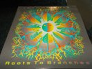 JETHRO TULL - ROOTS TO BRANCHES - 2xLP