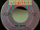 Funk Soul Breaks 45 Lou Courtney Hey Joyce on Popside HEAR