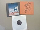 Tortoise and Bonnie Prince Billy: The Brave and the Bold LP (Domino)