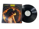 The 31 Flavors Hair Rare Hard Heavy Psych Rock LP Original 1969 Firebirds Garage