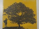 In Between Dreams by Jack Johnson (Vinyl, Mar-2005, Universal Distribution)