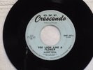 RICHARD CAITON You Look Like a Flower / Listen To The Drums  GNP CRESCENDO 327