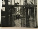 Paul McCartney - Chaos And Creation In The Backyard - Used 2005 UK Import LP -NM