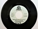 SHIRLEY & SHIRELLES NEVER GIVE YOU UP BELL PROMO 45 RARE CROSSOVER NORTHERN SOUL