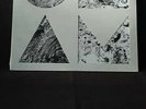Of Monsters and Men - Beneath the Skin - 2015 - 2 LP Set  - OMAN - SEALED