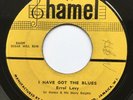 Very Rare Early Ska/R&B Crossover Errol Levy - I Have Got The Blues Shamel Label